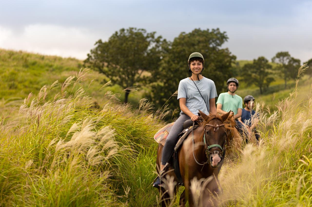 Aso Horse Riding Experience (1 hour) - Feel the 1000-year Coexistence of Humans, Animals, and Nature