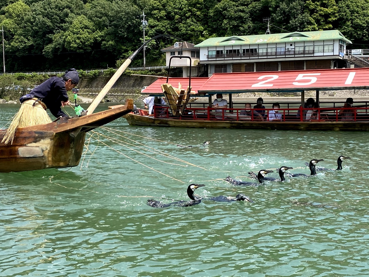 Ukai Daytime Plan -- Witness Traditional Cormorant Fishing on the Kiso River 