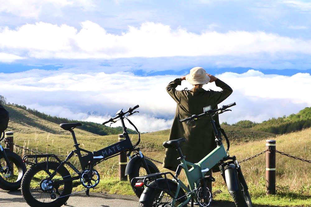 Thrilling E-Bike Tour of Nagano