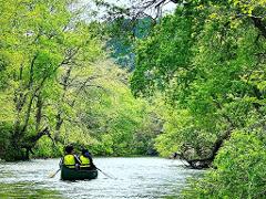 Two people are canoeing down a narrow, tree-lined river, enjoying the lush green scenery.