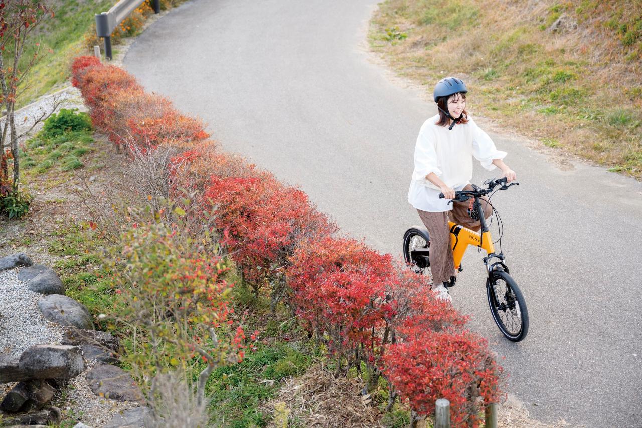 Forest Bathing in Yamanashi