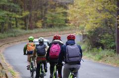 Embrace Beautiful Mother Nature on an E-Bike Tour of Yatsugatake Four cyclists wearing helmets ride their bikes on a paved road surrounded by trees with autumn foliage.