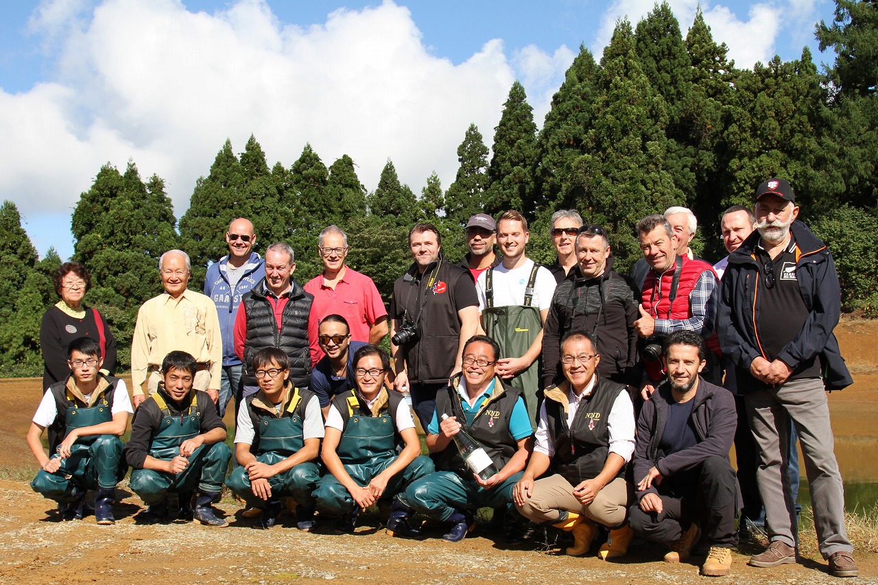 Professional breeder-guided Koi farm tour in the sanctuary of Nishikigoi