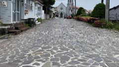 A stone-paved road leads to a church in Hakodate, Japan, lined by houses and flowers.