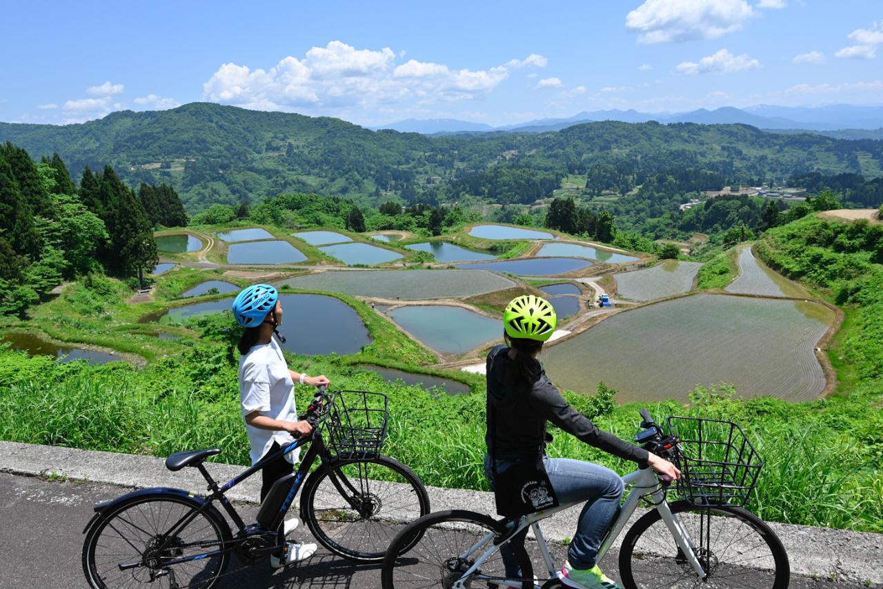 「錦鯉の聖地」を巡る貸出サイクリング