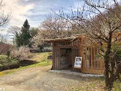 Washi Art, Draw a Picture While Making Washi Paper from Raw Materials in Tokyo's Countryside A rustic wooden building stands near a dirt path surrounded by trees in bloom under a cloudy sky.
