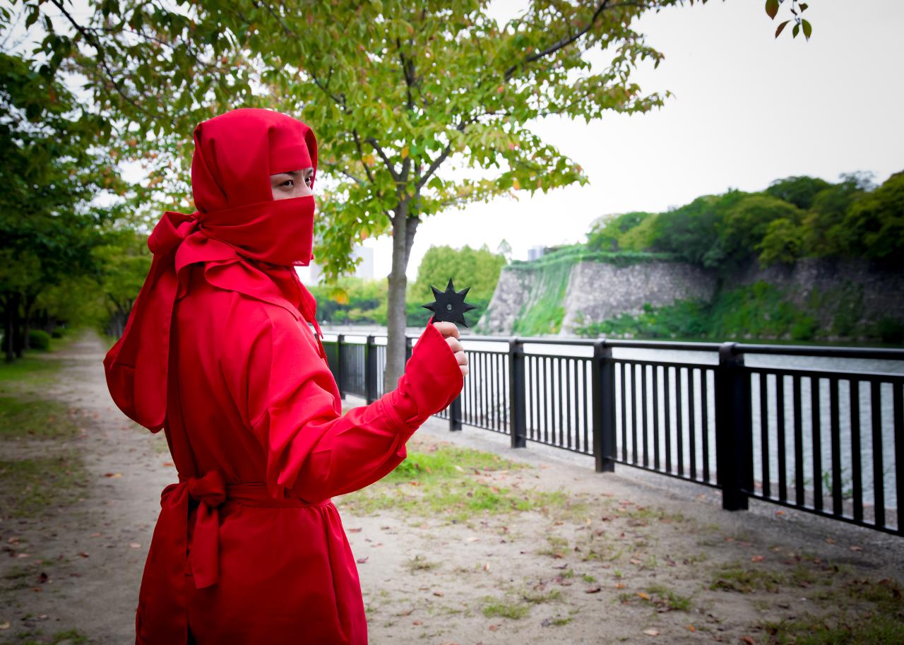 Sneak Around Osaka Castle as a Ninja!