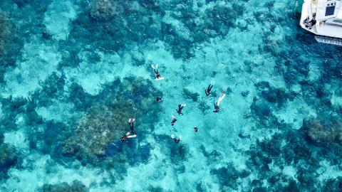 An aerial view of a group of snorkelers swimming in crystal-clear turquoise waters near a white boat, exploring a coral reef.