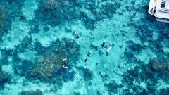 【北半球最大級のサンゴ礁エリア】地元ガイドと沖縄の海を探索するプライベートシュノーケルツアー