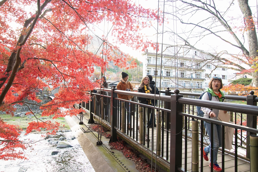 Discover Japan's Oldest Onsen Village: A Diverse, Personalized Tour of Shiobara Onsen’s Eleven Hot Springs