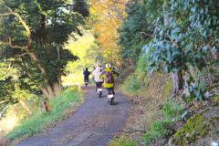 A group of people ride scooters down a scenic forest path, bathed in dappled sunlight.