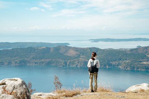 A lone hiker stands on a rocky overlook, gazing out at a vast expanse of blue ocean and tree-covered islands under a pale sky.
