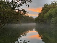 Une scène de rivière sereine avec du brouillard, des arbres bordant les rives et le reflet d&#39;un ciel de coucher de soleil dans l&#39;eau.