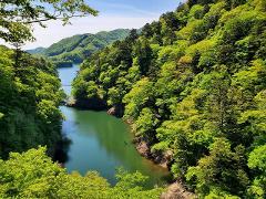 A vibrant green river winds through lush, tree-covered mountains under a clear blue sky, inviting exploration.
