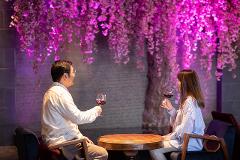 A couple enjoys wine under a vibrant display of pink cherry blossoms at an inn near Lake Suwa, Japan.