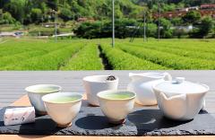 茶畑一望「お茶テラス」で愉しむ煎茶体験