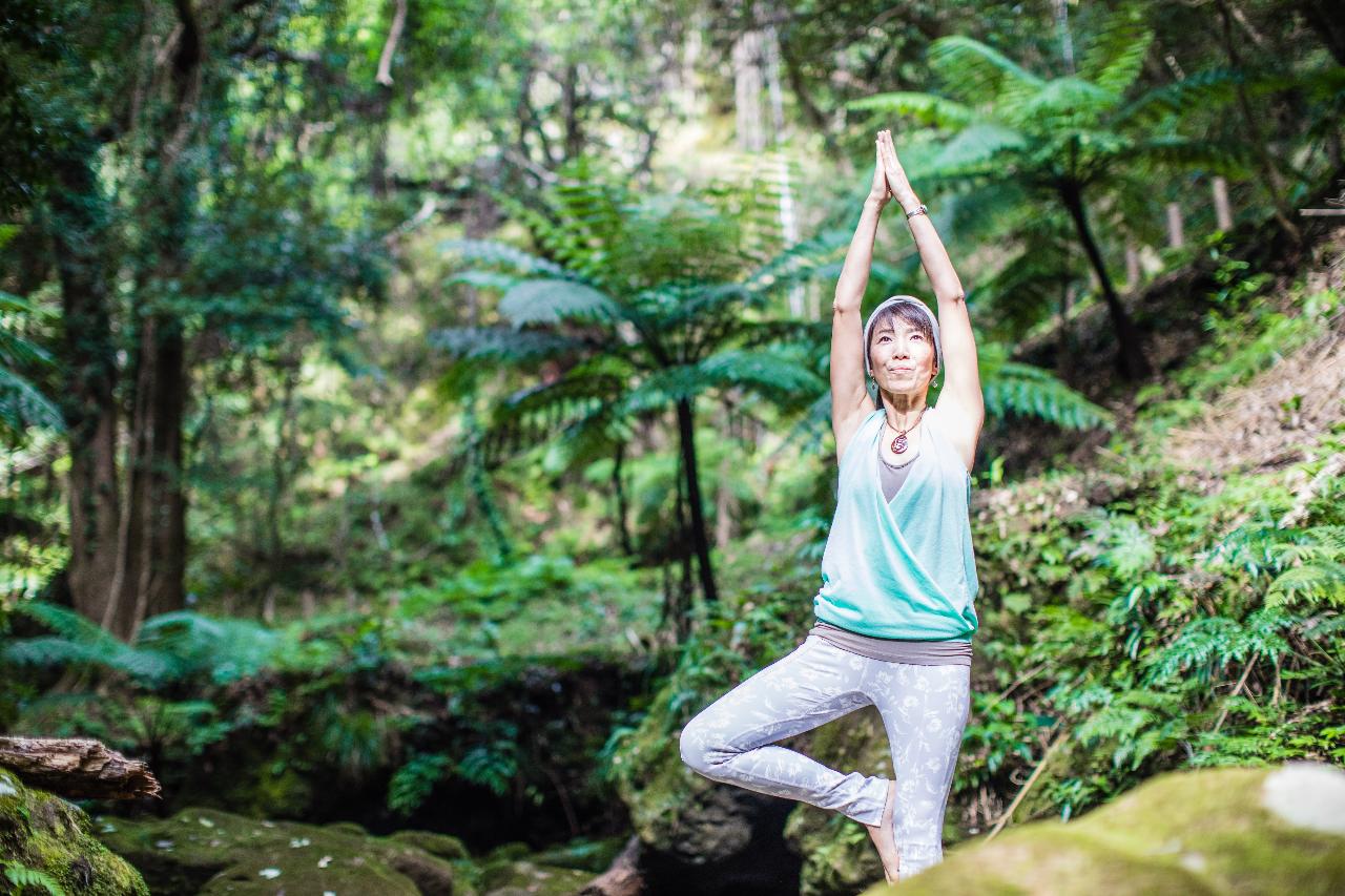 Yoga Experience in a Subtropical Forest and the Kuroshio Current