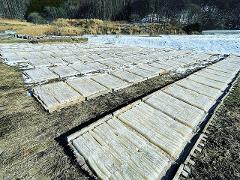 Rows of white agar-agar strips are drying on wooden racks outdoors in a snowy landscape.