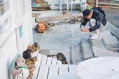 A man takes a photo of cats on a staircase next to a white building.