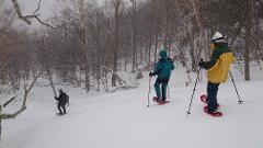 Exciting Snow Trek: Enjoy the Powdery Snow!