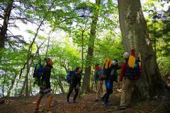 A group of hikers with colorful backpacks stand in a lush green forest, looking up at a large tree, ready to explore the scenic trekking and rafting tour of Lake Chuzenji.