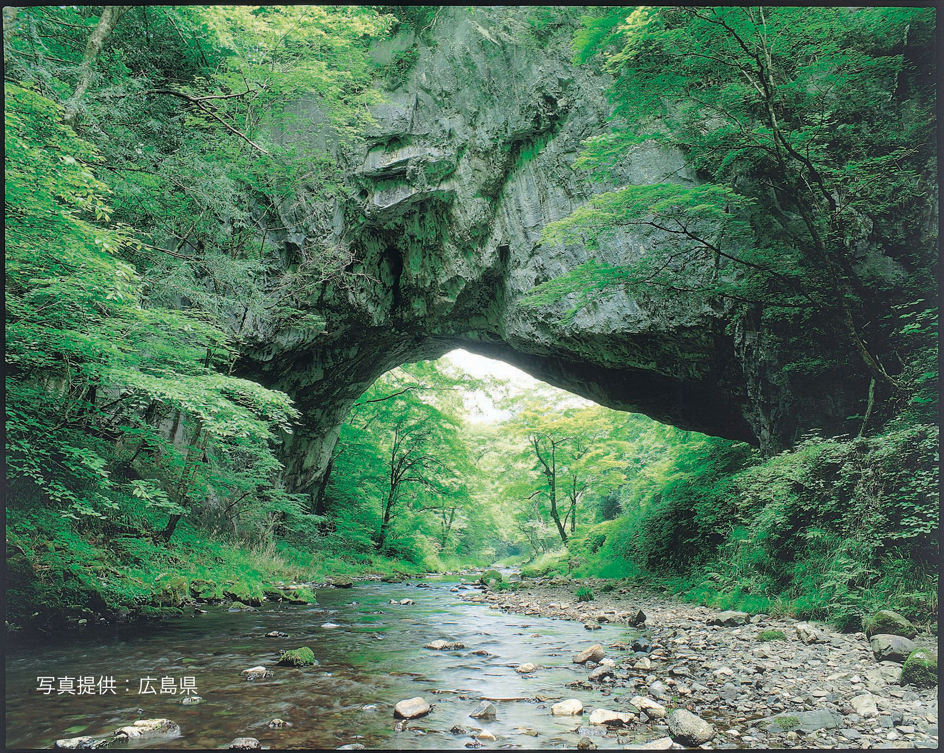 日本有数の渓谷を訪れる広島1dayタクシーツアー