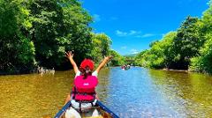 A person in a canoe raises their arms in celebration while paddling down a calm river surrounded by lush green trees under a bright blue sky.