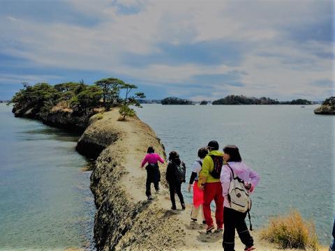 A group of people walk along a narrow land bridge towards a small island covered with trees, surrounded by calm water.