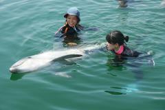 Two women in wetsuits are in the water with a dolphin, one of them wearing a hat and holding a tube to her mouth.