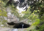 A serene view of a small waterfall cascading into a cave entrance, surrounded by lush green foliage and rocky cliffs, possibly a scenic stop on the Wajima/Satoyama Cycling Tour.