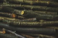 A pile of rough, natural wood branches, some with visible grain and bark, are layered to create a textured, earthy background.