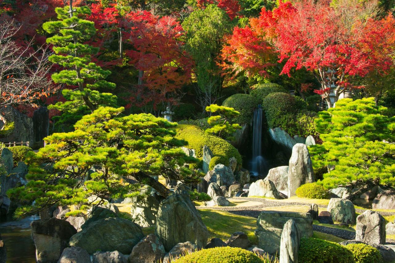 雄大な日本庭園を持つ料亭で日本文化＆日本料理体験