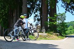 Two people wearing helmets stand with their bicycles next to large trees and a stone statue on a sunny day.