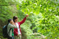 日本關西地區最大型森林公園中體驗森林療癒（國見森療癒步道）