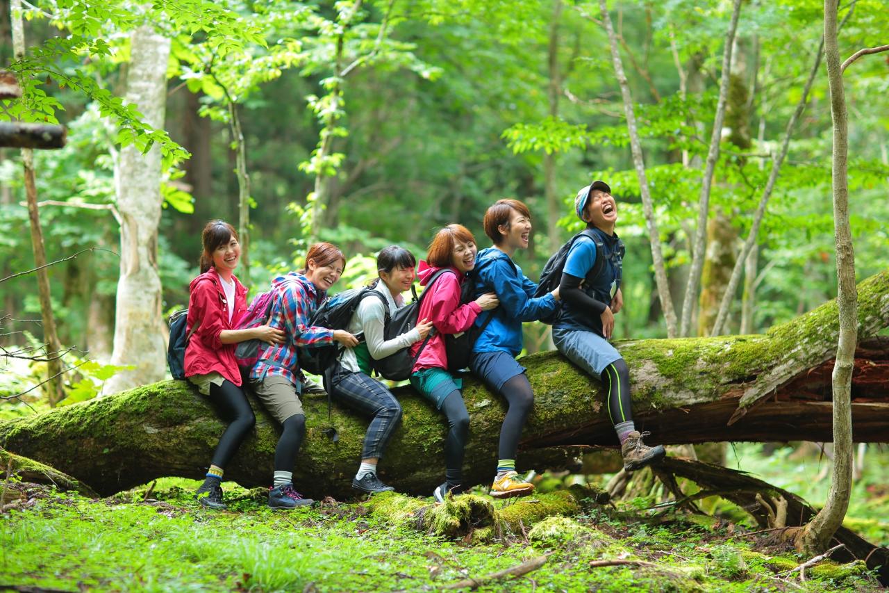 Hiking Therapy in One of the Most Extensive Forests in Midsouth Japan (Akasai Road)