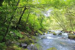 Refresh yourself by confronting nature in a mysterious land covered with primeval forests and moss. Meditation experience plan Two people are lying down on the mossy ground next to a flowing river in a lush, green forest.