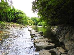 A scenic view of a river with stepping stones leading through lush green trees and rocky banks.