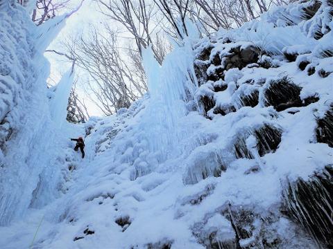 An ice climber ascends a frozen waterfall amidst a backdrop of snow-covered trees and large icicles.