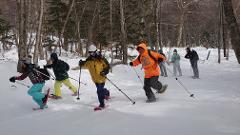 Exciting Snow Trek: Enjoy the Powdery Snow!