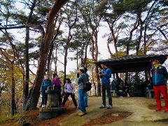 A group of people are gathered in a forest, some standing around a stone structure while others are resting under a pavilion.