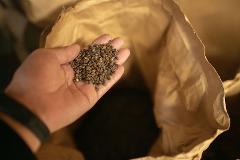 A hand holds a pile of buckwheat groats in front of a brown paper bag.