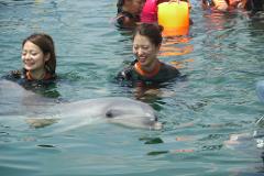 Two women in wetsuits are swimming with a dolphin in clear blue water, both smiling joyfully. Another woman with a life vest is in the background.