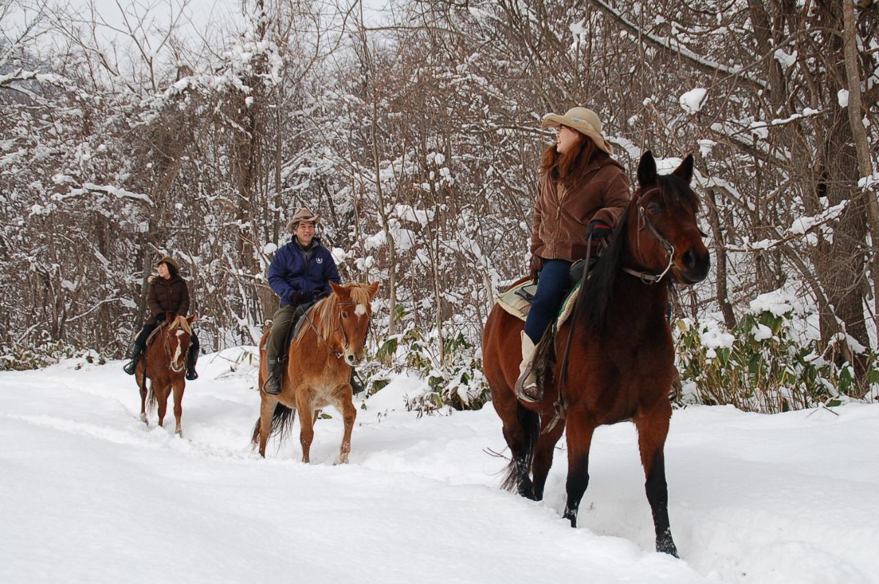 Hokkaido Snowing Horseback Riding with a local Guide for 40min. 