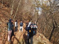 A group of hikers with backpacks stand on a forest trail covered in fallen leaves.