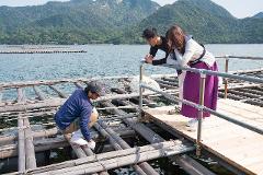 ＜和日本首屈一指的牡蠣產區廣島的水產養殖專家交流!＞宮島的牡蠣近距離採收體驗