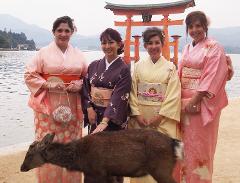 四名身着和服的女子在严岛神社鸟居门前与一只鹿合影。