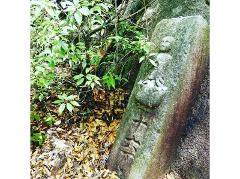A weathered stone statue of a figure, possibly a Buddhist deity, stands alongside a tree, coins resting in its lap and Japanese characters carved below.