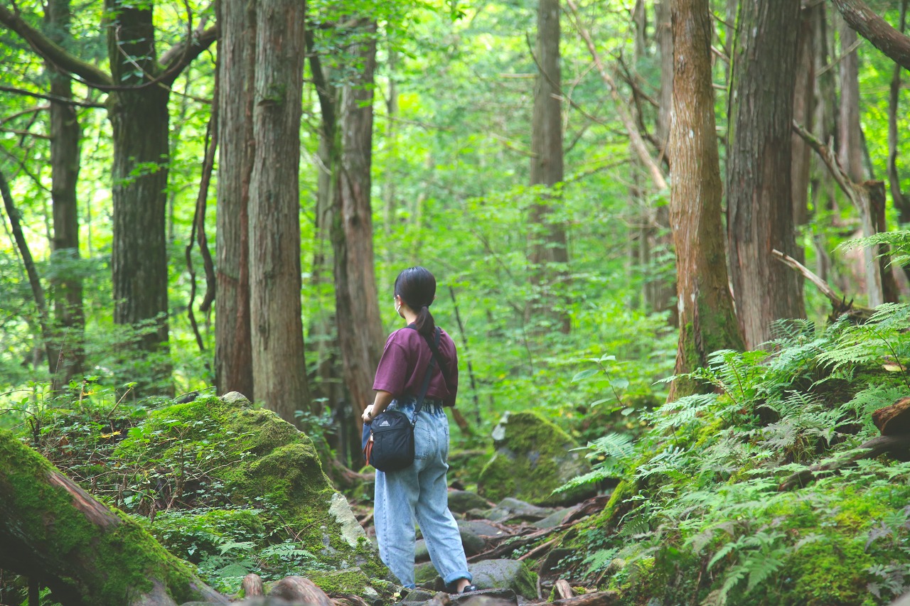 ～森の不思議な住人！知られざる苔の世界～ 原生林を歩きながら学ぶ、蓼科大滝ガイドツアー