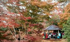 A group of people poses in front of a gazebo surrounded by vibrant autumn foliage.