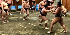 A plan to observe the morning practice of the sumo wrestles Sumo wrestlers engage in a training match inside a sumo ring as observers watch from the sidelines.